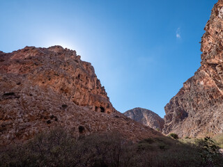 Wadi, Dry Gorge with some plants and trees