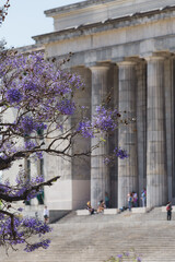 Jacaranda trees blooming in a beautiful spring day on Buenos Aires. Law School at background with...
