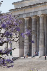 Plexiglas foto achterwand Jacaranda trees blooming in a beautiful spring day on Buenos Aires. Law School at background with students © Nina Abrevaya