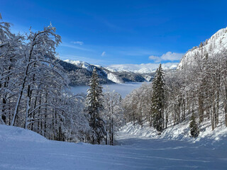 Fototapeta na wymiar Empty groomed ski resort slope runs through the wintry forest in the Julian Alps