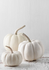 Autumn still life with tree small white pumpkins on light rustic background. Minimal concept. Selective fokus. Copy space.