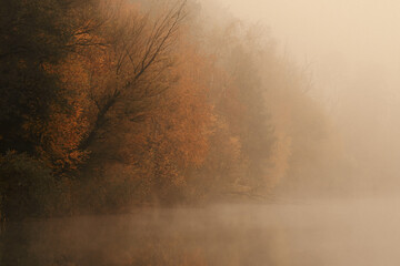 Herbst und Nebel