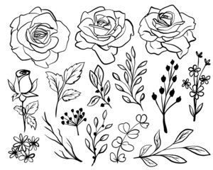 Isolated Rose Flower Line Art with Leaves