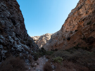 Wadi, Dry Gorge with some plants and trees