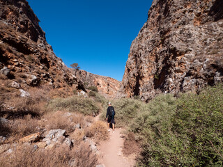 Wadi, Dry Gorge with some plants and trees