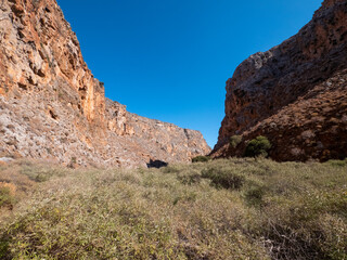 Fototapeta na wymiar Wadi, Dry Gorge with some plants and trees