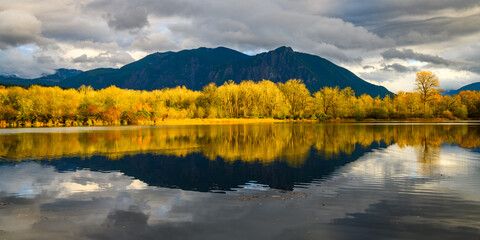 Fall scene in Snoqualmie Washington with yellow trees reflecting in calm water against a dark and contrasting Mt Si