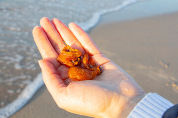 Fototapeta na wymiar Beautiful pieces of amber in the hand of the sea background. A glowing wavy piece of amber in the palm of your hand. The sunstone.