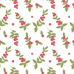 Seamless botanical pattern with winter berries. Pattern for fabric, print, baby clothes, wrapping paper, blog, collage, covers.
