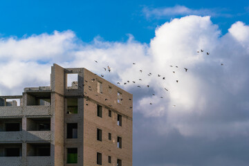 A flock of doves flies to a house under construction from a white cloud on a blue sky