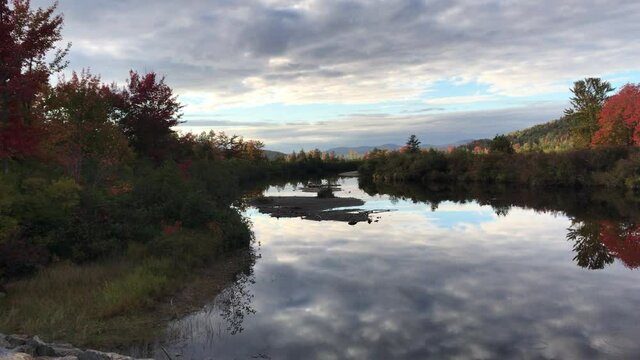 Little Bird Autum River Flight