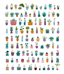 Vector set of flowers in pots and vases. Cute houseplants in doodle style.