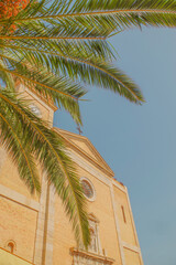 palm tree in front of a church-Altea