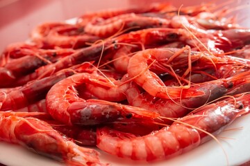 Dish of fresh Mediterranean red prawn. red shrimp from almeria