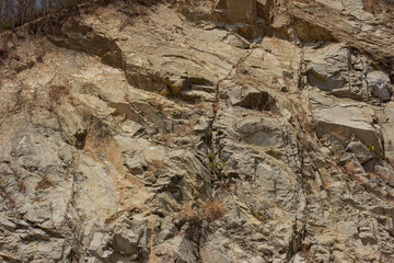 stone wall texture.  Rock. Nature Park 