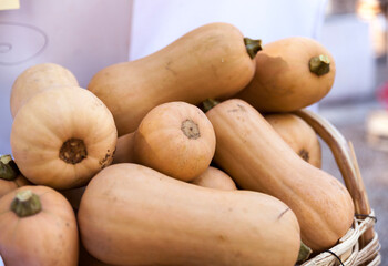 Bunch of butternut squash in a wicker backet at a local marketplace