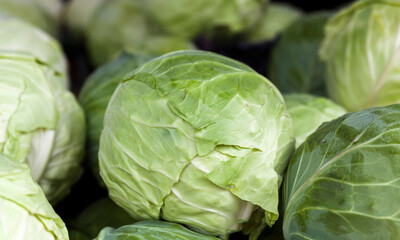 Close up view of fresh white,green cabbage in the market