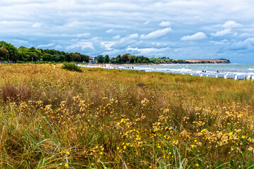 Wiese und Strand an der Ostsee