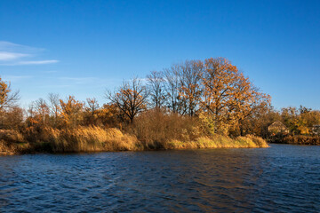Autumn trees by the pond