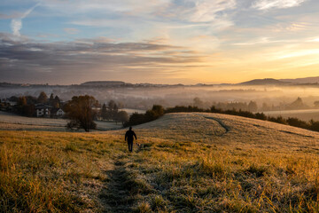 Misty sunrise on a meadow and a single dog walker