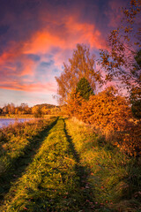 Naklejka premium Autumn path among the grass with a single birch tree under flaming clouds