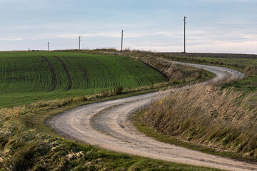 Fototapeta na wymiar winding country road through green agricultural field in autumn, electric poles and wires