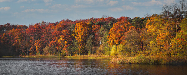 view of the autumn forest by the lake. colorful forest trees by the lake
