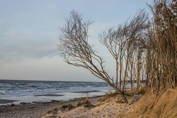 Prerow Weststrand