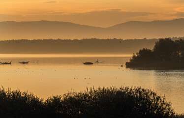 Obraz premium sunrise, lake Goczalkowickie, Silesia, Poland