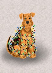 Cute airedale terrier dog wrapped with christmas Light garland 