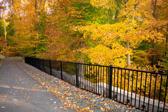 Photo of a paved walking path through autumn woods with a fence