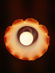 Low-angle shot of a chandelier with a single lamp