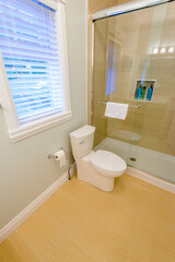 Fragment of a luxury bathroom