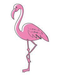 フラミンゴのアイコン　イラスト主線　夏のイメージのシンプルで可愛いイラスト　アイコン