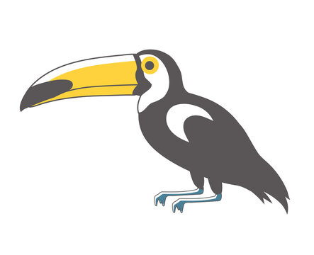 オニオオハシ Images Browse 240 Stock Photos Vectors And Video Adobe Stock