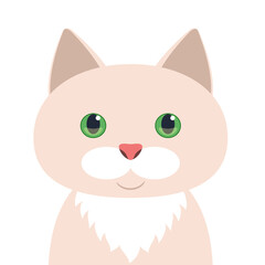 portrait of a cat on a white background