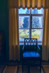 View from the window to the lawn with tall coniferous trees in the Pushkin Hills. Pskov. Russia