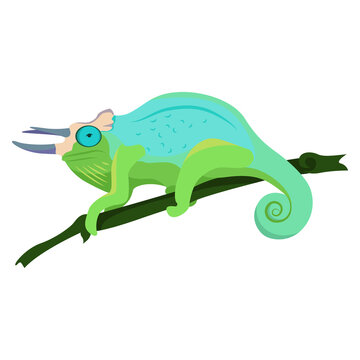 Blue-green chameleon with horns sitting on a branch on a white background, vector illustration.