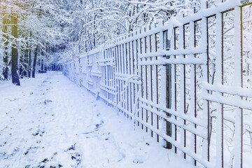 Winter. Park in the snow. The lattice of the park protects the snow-covered path