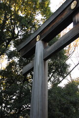 Japanese temple gate