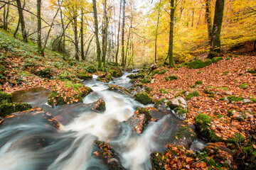 la cascade de Brisecou à Autun en automne, une magnifique cascade en forêt aux couleurs automnales