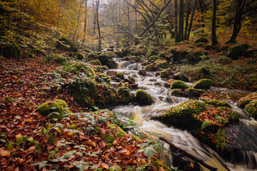 Fototapeta na wymiar la cascade de Brisecou à Autun en automne, une magnifique cascade en forêt aux couleurs automnales