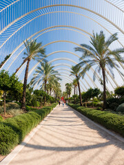 Fototapeta na wymiar Road surrounded by large palm trees with grass and garden shrubs around and a large structure of long metallic white bars on top letting see a blue sky a sunny day