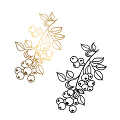 Monochrome and golden branches with berries isolated on a white background. Hand drawn black and white vector illustration of leaves, apples. For greeting cards and wedding invitations, birthday