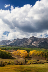 Mountain landscape with Aspen trees and fall colors near Crested Butte, Colorado