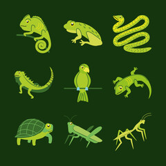 set green animals