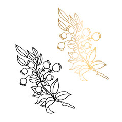 Monochrome and golden branches with small berries isolated on a white background. Hand drawn black and white simple vector illustration of leaves, apples. For greeting cards and wedding invitations