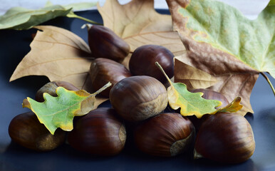 Chestnuts on dark plate with colorful and dried natural leaves.