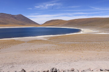 Lagunas Altiplânicas - Atacama - Chile