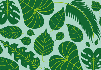 Fototapeta na wymiar tropical green leaves